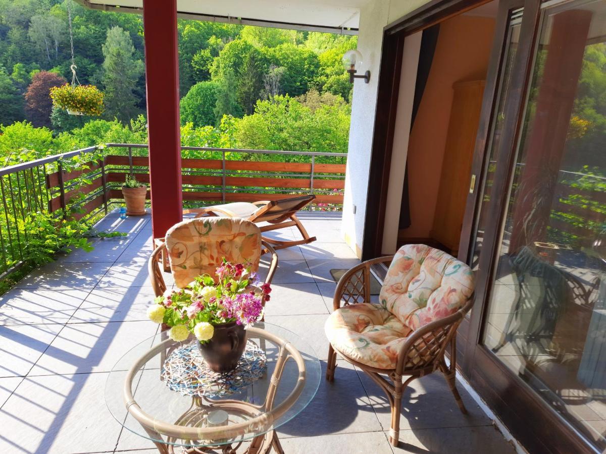 Ferienwohnung Rhododendron - Natur Pur Am Highwalk 富尔达河畔罗滕堡 外观 照片