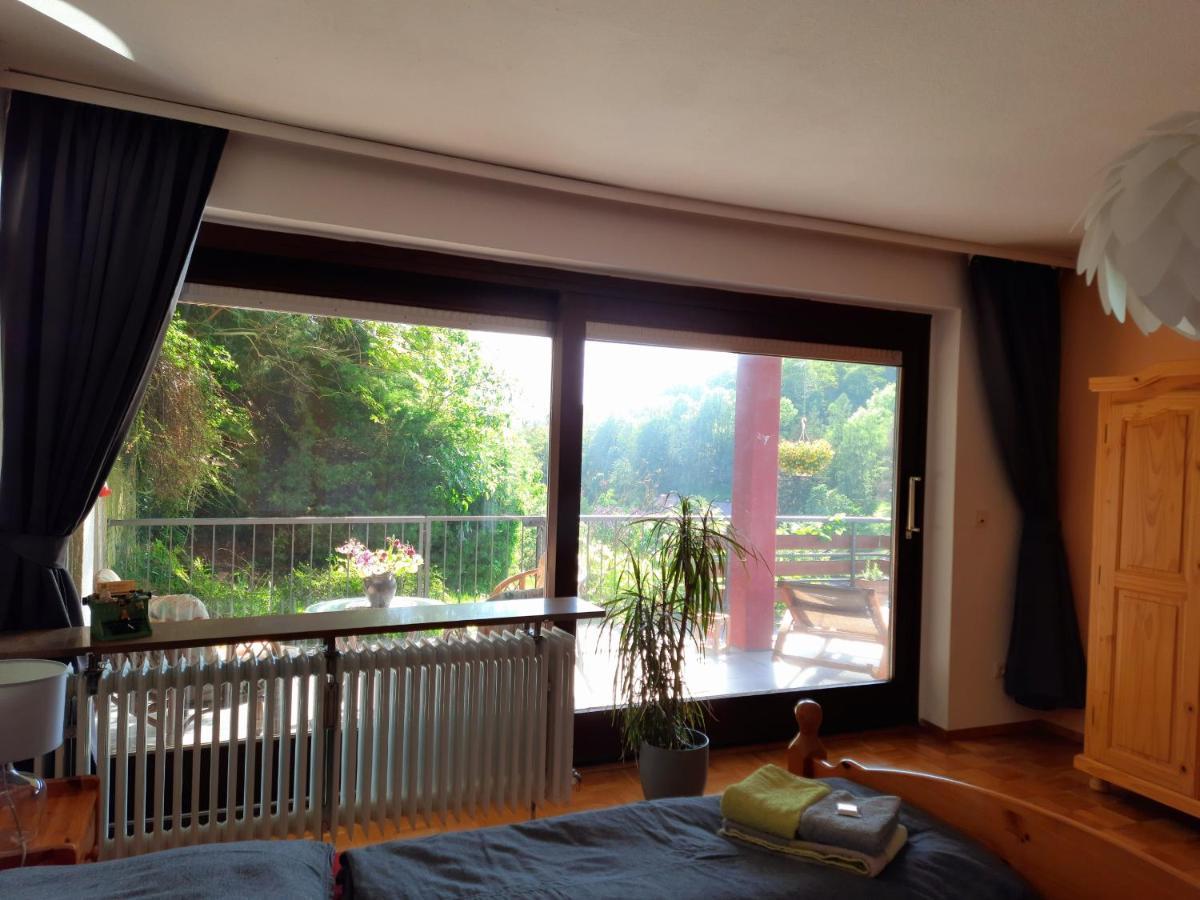Ferienwohnung Rhododendron - Natur Pur Am Highwalk 富尔达河畔罗滕堡 外观 照片