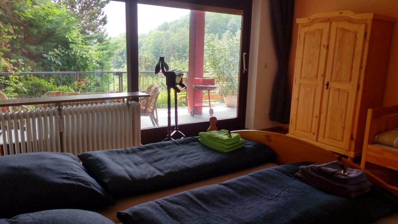 Ferienwohnung Rhododendron - Natur Pur Am Highwalk 富尔达河畔罗滕堡 外观 照片