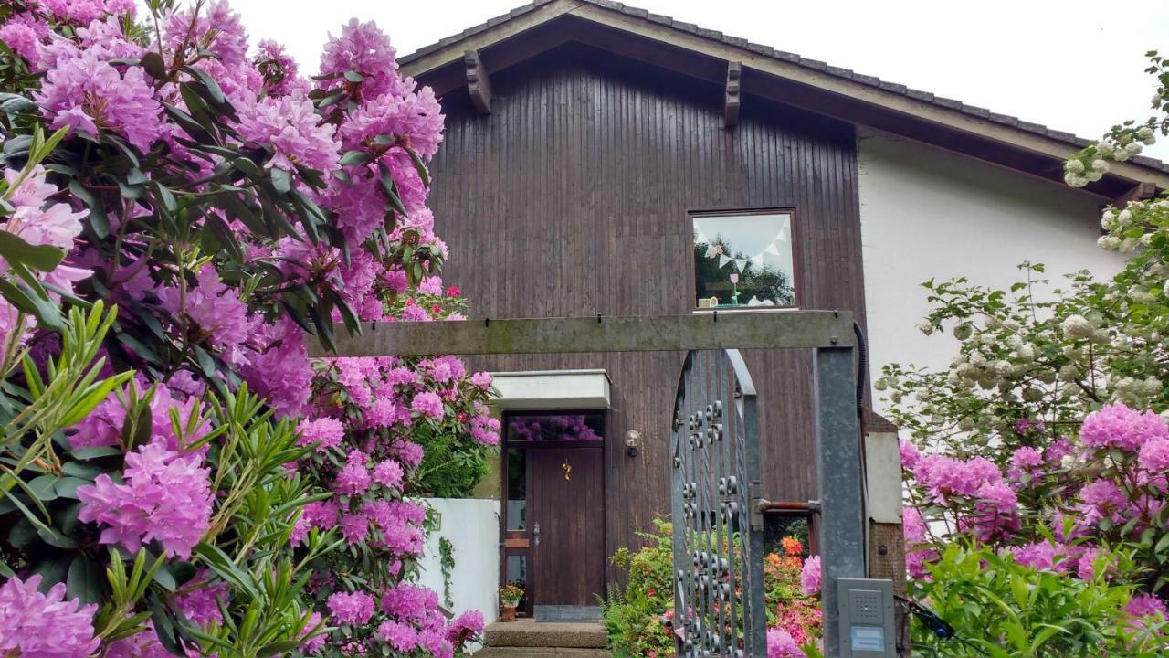 Ferienwohnung Rhododendron - Natur Pur Am Highwalk 富尔达河畔罗滕堡 外观 照片